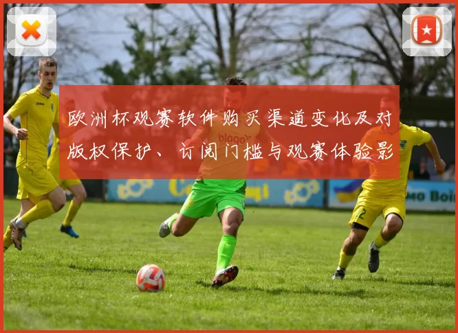 欧洲杯观赛软件购买渠道变化及对版权保护、订阅门槛与观赛体验影响