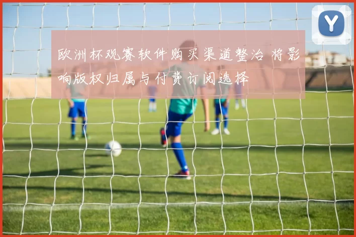 欧洲杯观赛软件购买渠道整治 将影响版权归属与付费订阅选择