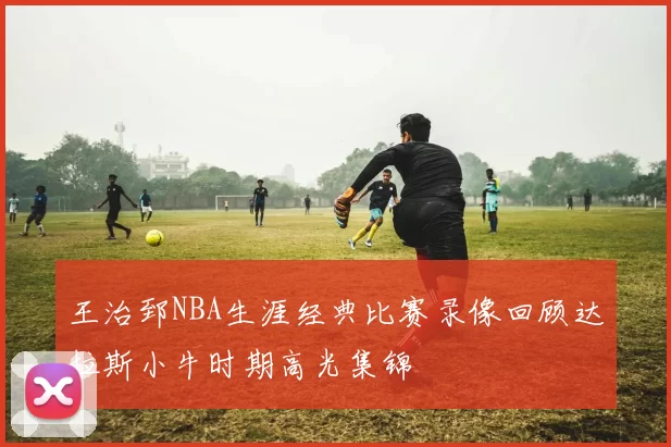 王治郅NBA生涯经典比赛录像回顾达拉斯小牛时期高光集锦